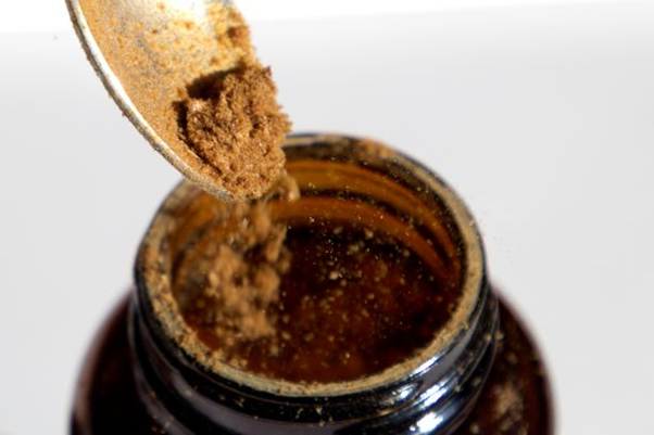 chaga8